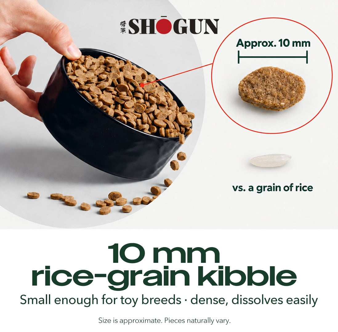 10 mm rice-grain kibble — small enough for toy breeds, dense, dissolves easily
