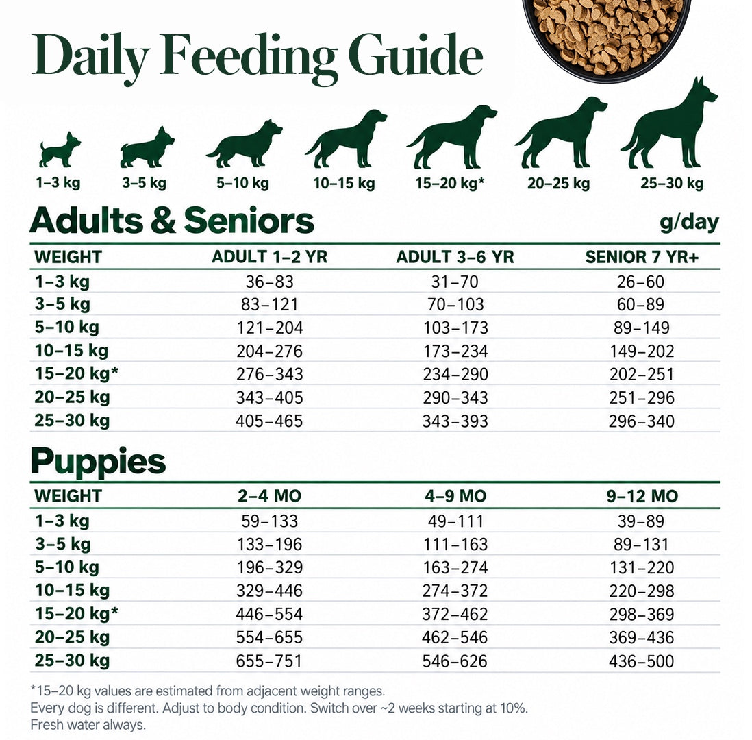 Daily feeding guide (g/day) by weight and life stage, adults, seniors and puppies