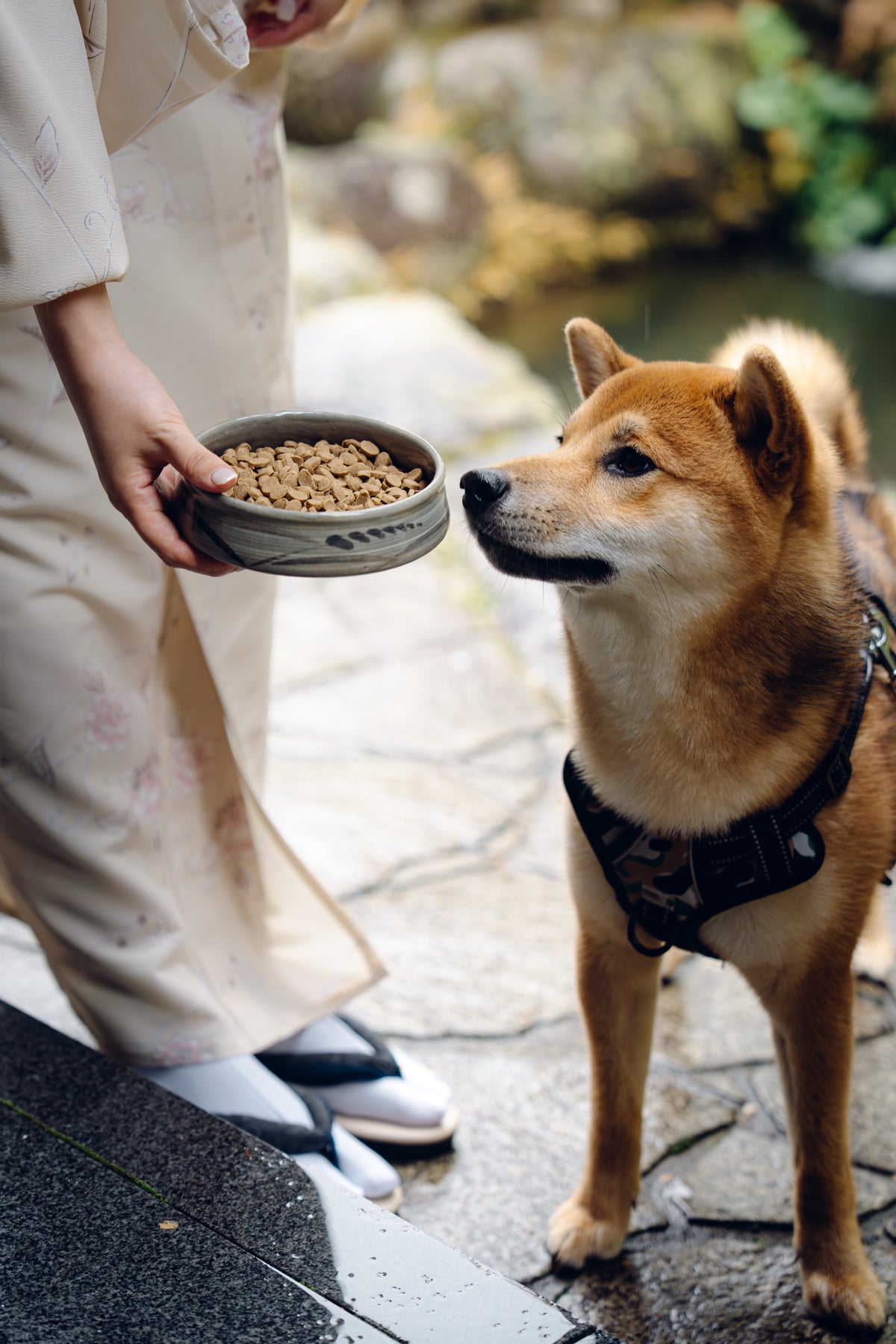 Served the omotenashi way — the way a chef would.