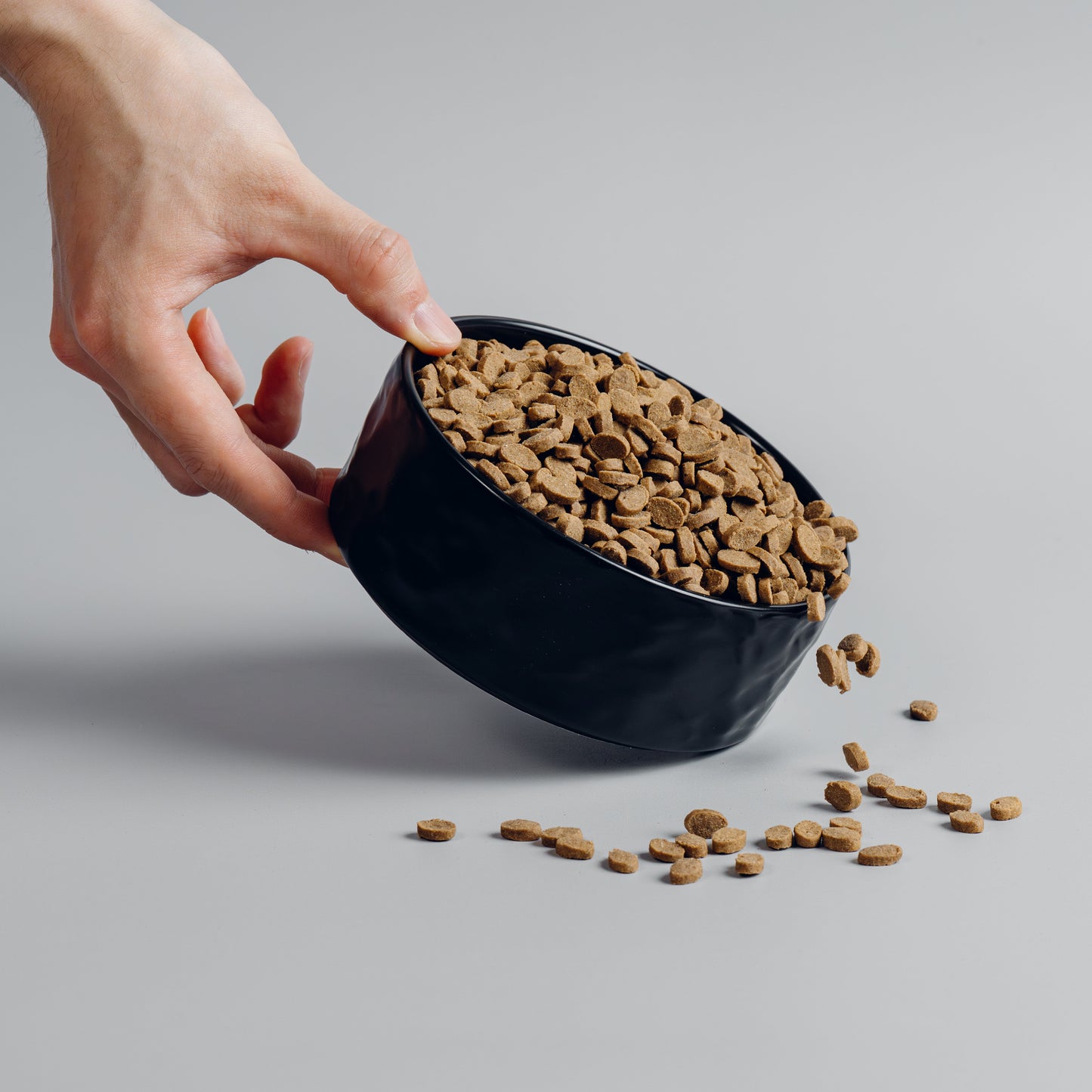 SHOGUN Premium Dog Food - lifestyle scene