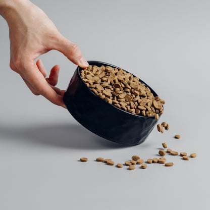 SHOGUN Premium Dog Food - lifestyle scene