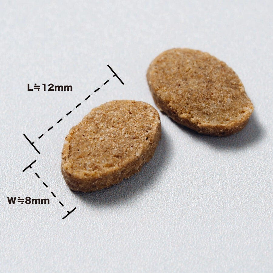 SHOGUN rice-grain kibble beside a millimetre rule — about 10 mm across
